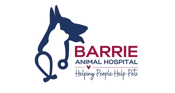 Barrie Animal Hospital