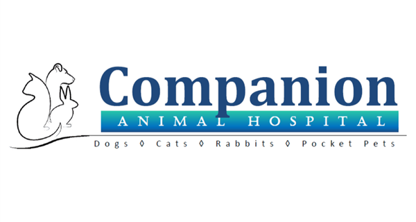 Companion Animal Hospital