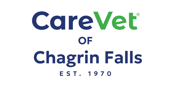 CareVet of Chagrin Falls 