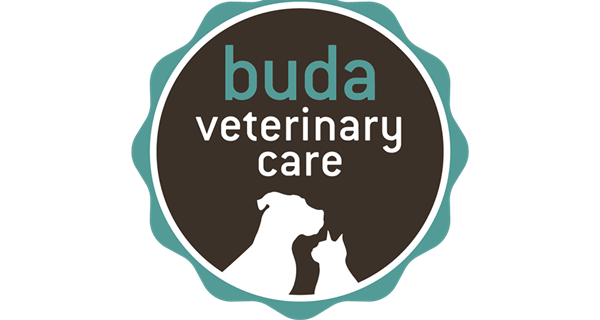 Buda Veterinary Care 