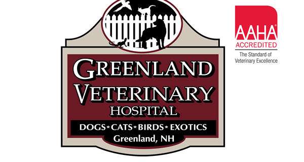 Greenland Veterinary Hospital