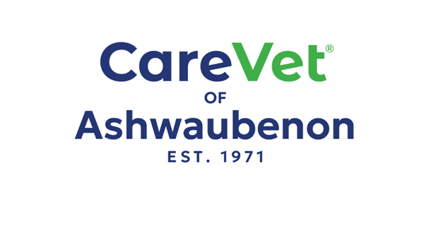 CareVet of Ashwaubenon