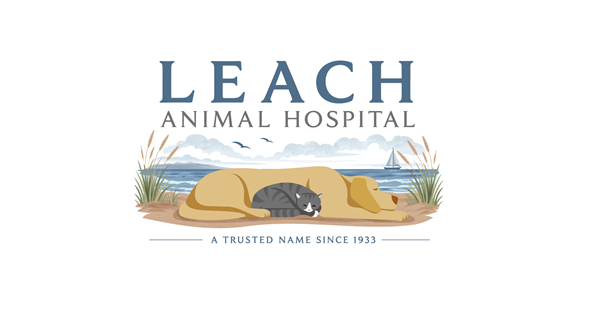 Leach Animal Hospital