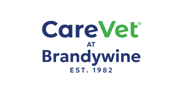 CareVet at Brandywine