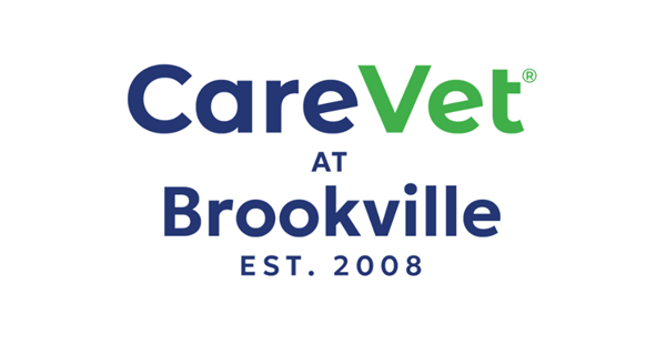 CareVet at Brookville