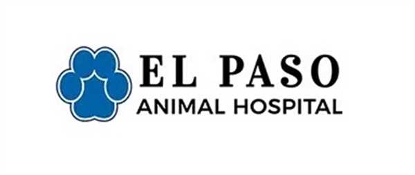 El Paso Animal Hospital