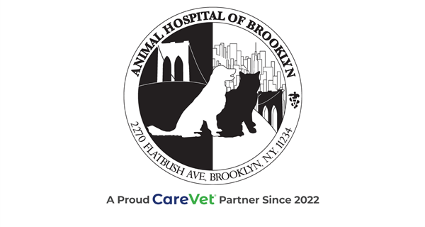Northwest Veterinary Hospital