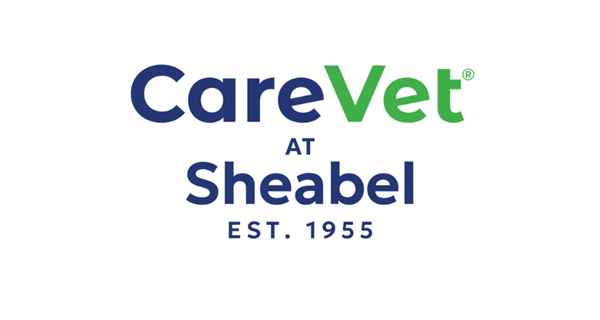 CareVet at Sheabel