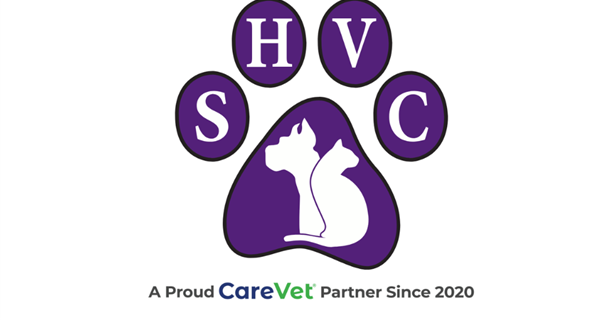 Spring Hill Veterinary Clinic