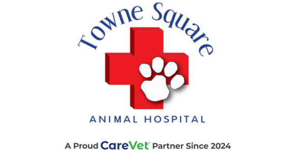 Towne Square Animal Hospital