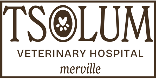 Tsolum Veterinary Hospital