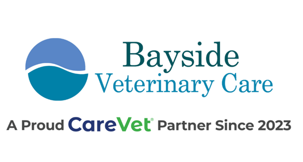 Bayside Veterinary Care
