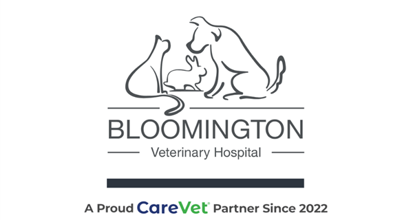 Bloomington Veterinary Hospital