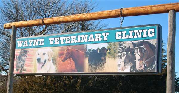 Wayne Veterinary Clinic