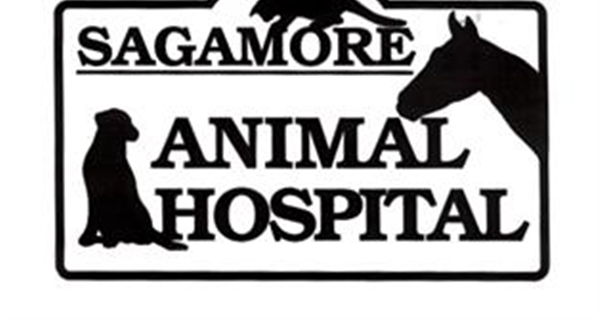 Sagamore Animal Hospital