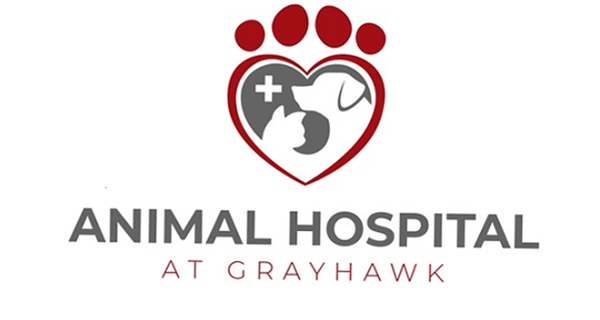 Animal Hospital at Grayhawk