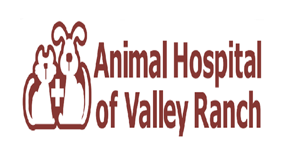 Animal Hospital Of Valley Ranch