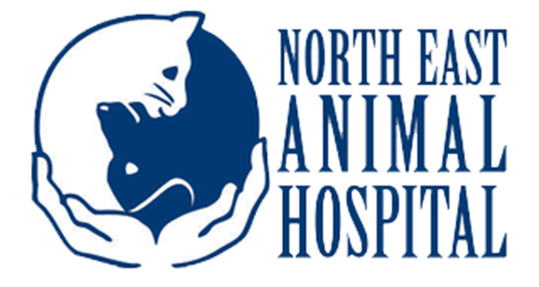 North East Animal Hospital