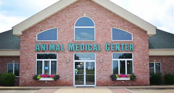 Animal Medical Center of Troy