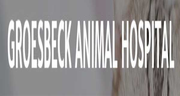 Groesbeck Animal Hospital