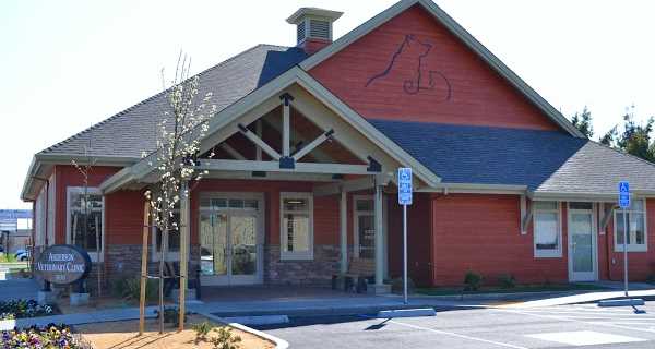 Anderson Veterinary Clinic, A Thrive Pet Healthcare Partner