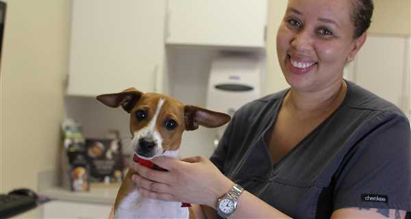 Atlanta Humane Society
