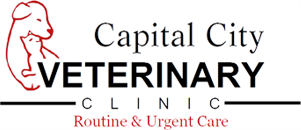 Capital City Vet Clinic