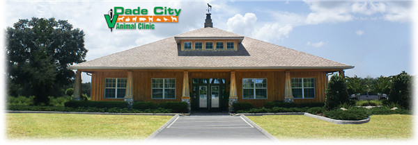 Dade City Animal Clinic