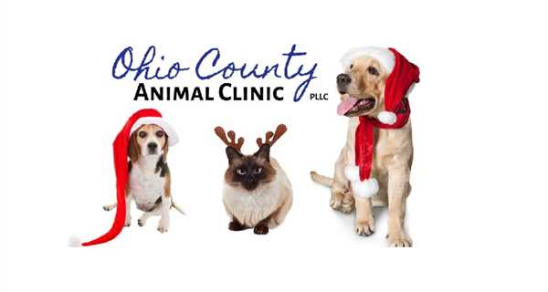 Ohio County Animal Clinic, PLLC