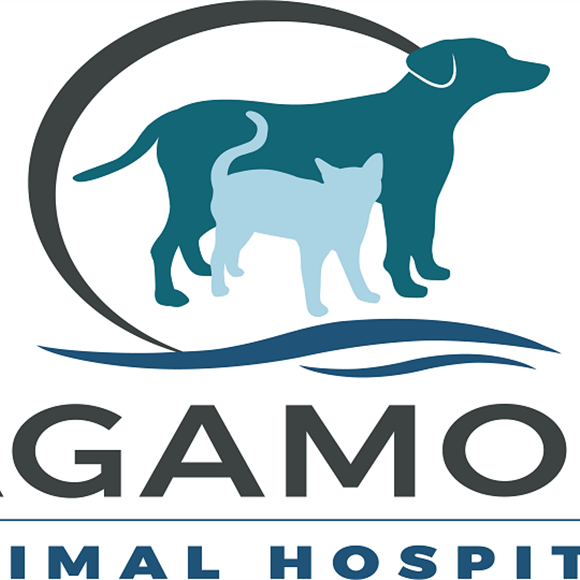 Sagamore Animal Hospital - Request an Appointment Sagamore Animal Hospital - Request an Appointment