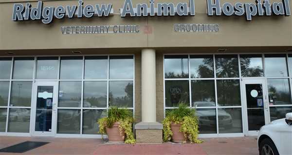 Ridgeview Animal Hospital