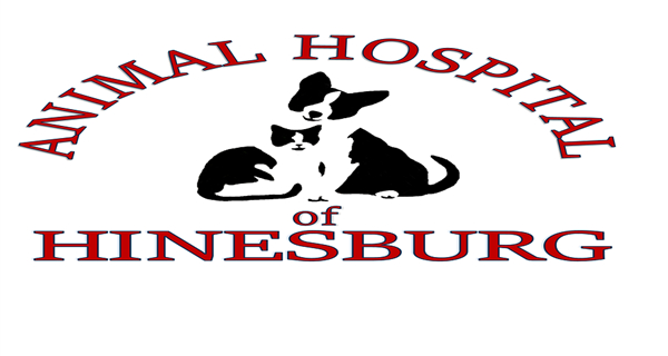 Animal Hospital of Hinesburg