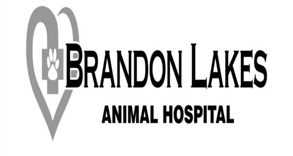 Brandon Lakes Animal Hospital