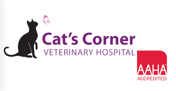 Cat's Corner Veterinary Hospital