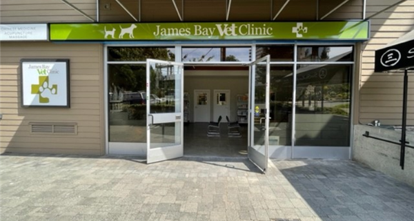 James Bay Veterinary Clinic