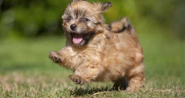 Countryside Veterinary Clinic